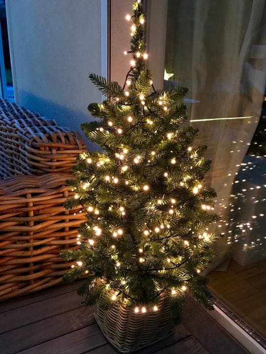 Wir haben die Lichterkette hier in einem kleinen Baum dekoriert. Dank der Lichterkette braucht er auch nichts anderes mehr um perfekt auszusehen! 