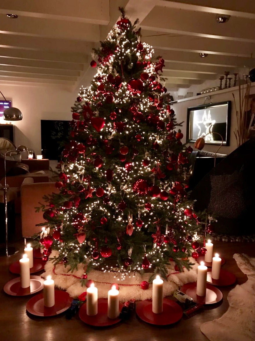Kein Weihnachtsfest ohne feierlichen Baum