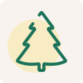 Tannen Icon