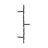 Lichterkette 40 LED schwarzes Kabel warm weiß leuchtend