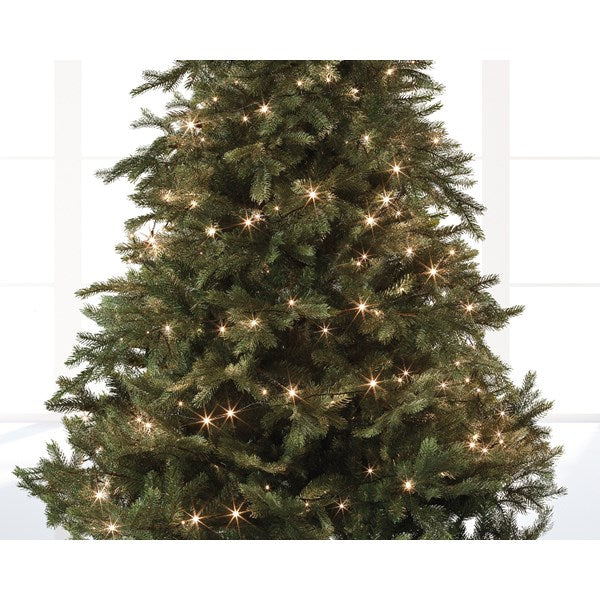 LED Basic 80 LED warm weiß, im Weihnachtsbaum.